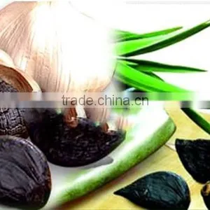 2016New China Garlic for Sale With Good Quality--HC Company thumbnail-3