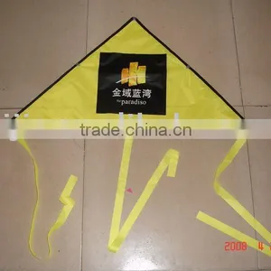Delta Kite thumbnail-1