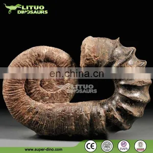 Museum Exhibtion Life Size Animal Skeleton thumbnail-2