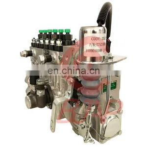 BYC NEW Injection Pump T73208225 Engine 1006TG02 Injection Pump CPES6PB110D120RS3162 Pump thumbnail-4