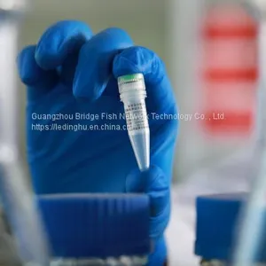 Novel Coronavirus (COVID-19) Nucleic Acid Detection Kit thumbnail-4