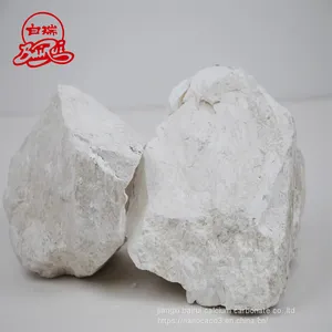 95% Hydrated Lime Powder for Wast Water thumbnail-1