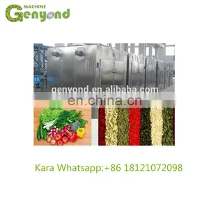 Tray Type Drying Equipment Fish/Meat Drying Oven/Equipment thumbnail-4