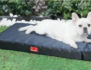 Orthopedic & Calming Pet Bed thumbnail-1