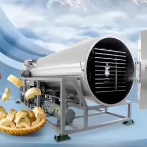 Full-automatic 50 Square Meters Capacity Egg Yolk Vacuum Freeze-drying Equipment thumbnail-1