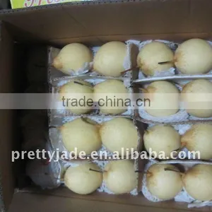 Chinese Fresh ya Pear thumbnail-1