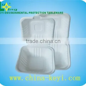 Disposable Food Boxes thumbnail-1