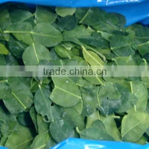 FROZEN KAFFIR LIME LEAVES thumbnail-1
