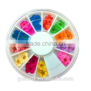 Stickers & Decals 3D Dry Flower, Mix 12 Color Decoration Real Dried Dry Flower for Nail Art Decoration ZX:GH743 Quality Choice thumbnail-4