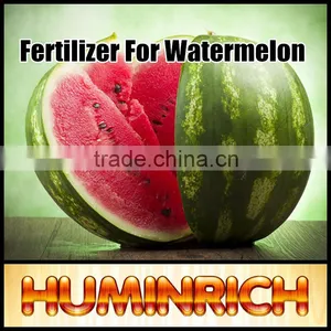 Huminrich 100% Water Soluble Potassium Humate Fertilizantes Para El Melon thumbnail-1
