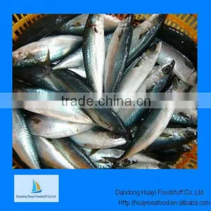 IQF Cooked Mackerel Species thumbnail-1