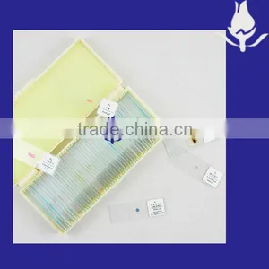 Microscope Slides Set Beginners Slides Set thumbnail-1
