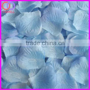 Ombre Rose Petal thumbnail-4