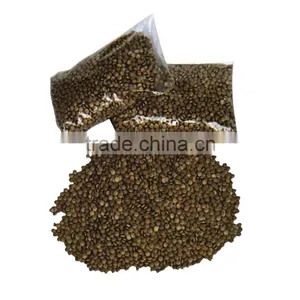 High Quality Bee Propolis/bee Propolis Powder thumbnail-3