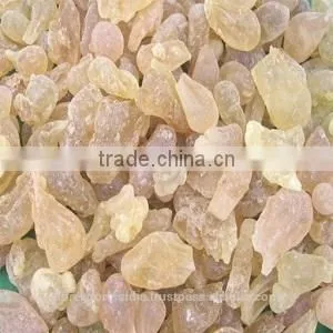 Frankincense Oil (Boswellia Serrata) thumbnail-1