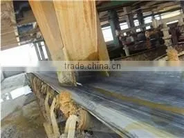 China High Quality Professional and Soil Mobile Rubber Belt Conveyor thumbnail-6