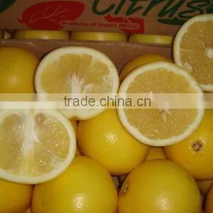 Fresh Grapefruit thumbnail-2