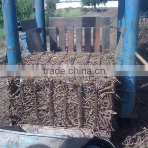 Liqorice Roots thumbnail-5