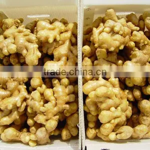 Market Price for Ginger thumbnail-1