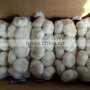 Chinese Fresh Garlic 2015 Garlic thumbnail-4