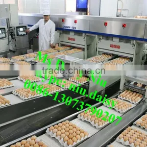 Automatic Egg Weighing Grading Machine/egg Grading Packing Machine/egg Grader for Packing thumbnail-2