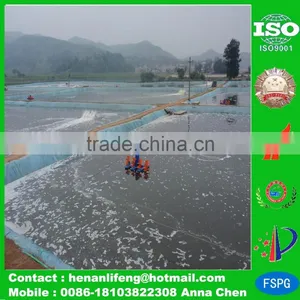 Plastic Tarp Beach Tent , Hdpe Camping Tarp , pe Tarp for Pool thumbnail-2
