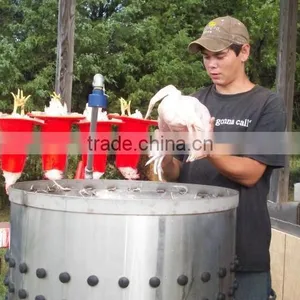 Equip for Poultry Slaughter of Chickens/slaughter Equipment Pig/poultry Slaughter Line thumbnail-1