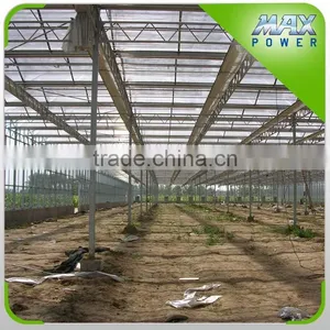 Hot Sale 10mm Polycarbonate Greenhouse Tunnel Grow Tent thumbnail-3