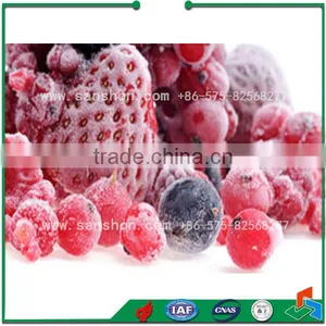 China IQF Frozen Fruit Freezer Quick Freezing Machine thumbnail-6