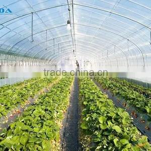 Multi Span Greenhouse thumbnail-2