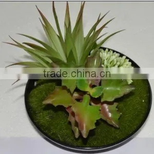 SJ3001011 Indoor Mini Bonsai Cactus Plant Artificial thumbnail-4