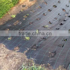 Weed Control Mat Export to Europe thumbnail-4