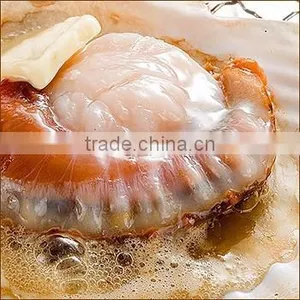 Best-selling , Delicious Frozen Seafood , Scallops With One/two Shells Made in Japan thumbnail-2