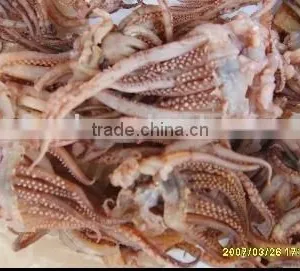 Frozen Squid Tentacles thumbnail-1