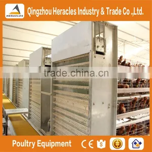 Best Selling Poultry Farming Layer Chicken Cage-H Type 4 or 5 Layers for Egg Chicken thumbnail-6