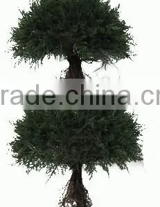 Artificial Buxus Spiral thumbnail-3
