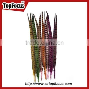 High Quality for Showgirl Carnival Costume Ringneck Tail Pheasant Feathers thumbnail-5