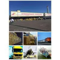 DDP Shipping to Russia Moscow Almaty Astana Fair Exhibitions Cargos Sea Freight Railway Freight Agents Customs Clearance Service thumbnail-1