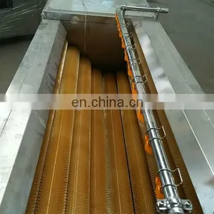 Automatic Vegetable Fruit Brush Cleaning Peeling Machine thumbnail-5