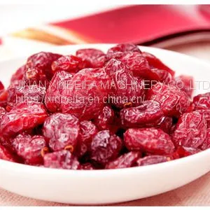 Cranberry Stem Drying Machine thumbnail-4