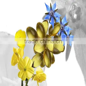 Borage Seed Extract Oil thumbnail-1