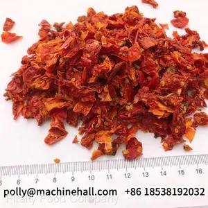 Bulk High Quality Dehydrated Tomato Wholesale Price thumbnail-1