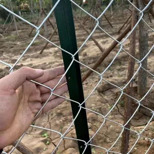 Hot-dip Galvanized Steel Wire Mesh, Animal Fence thumbnail-1