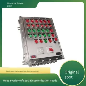 Meirun Dustproof and Explosion-proof Distribution Box, Special for Dust Environment, Complete Certificates, Available in Vertical and Wall-mounted Types thumbnail-4