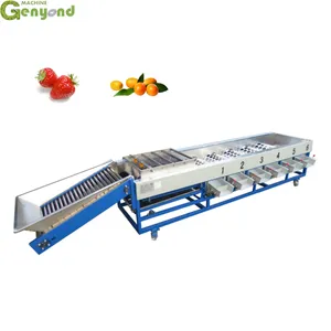 Genyond Hot Sale Fruit Grading Machine With Good Price thumbnail-6