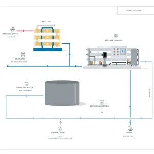 Seawater Electrochlorination Generator With Real-Time Output Monitoring thumbnail-1