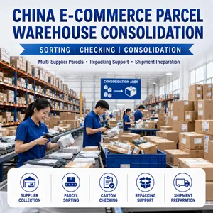 China DDP Shipping for E-commerce Parcels and Small Packages thumbnail-2