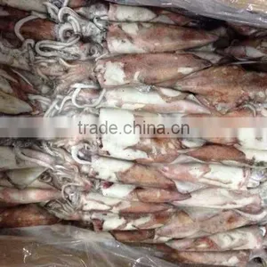Squid Frozen and Fish Frozen thumbnail-1