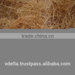 Coconut Fiber thumbnail-3