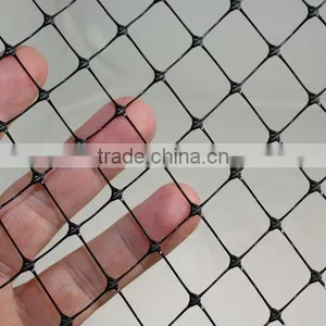 PP Plastic Plain Net for Sale thumbnail-3